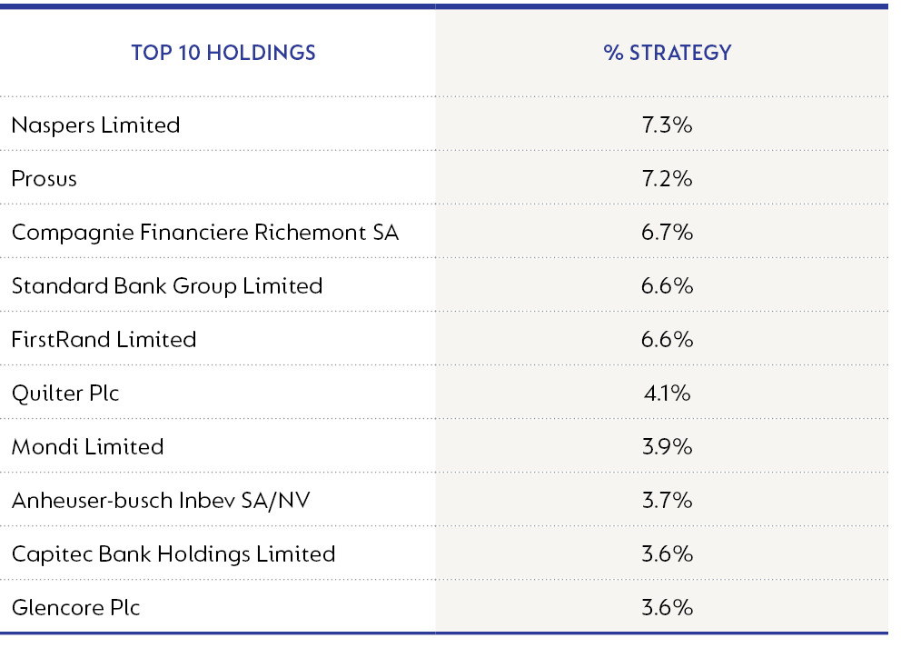 houseview equity strategy top 10 holding.png