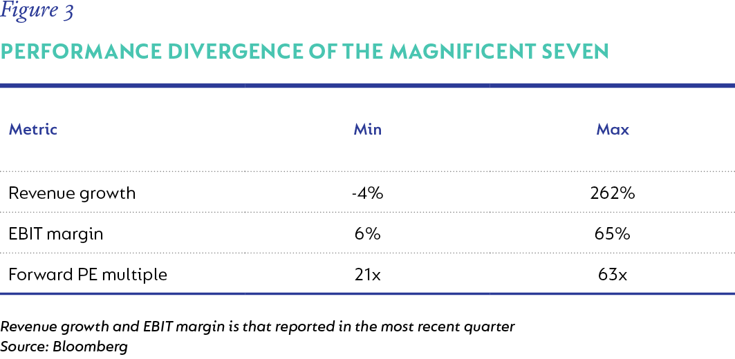 Figure 3-Divergence in revenue growth of Magnificent Seven.png